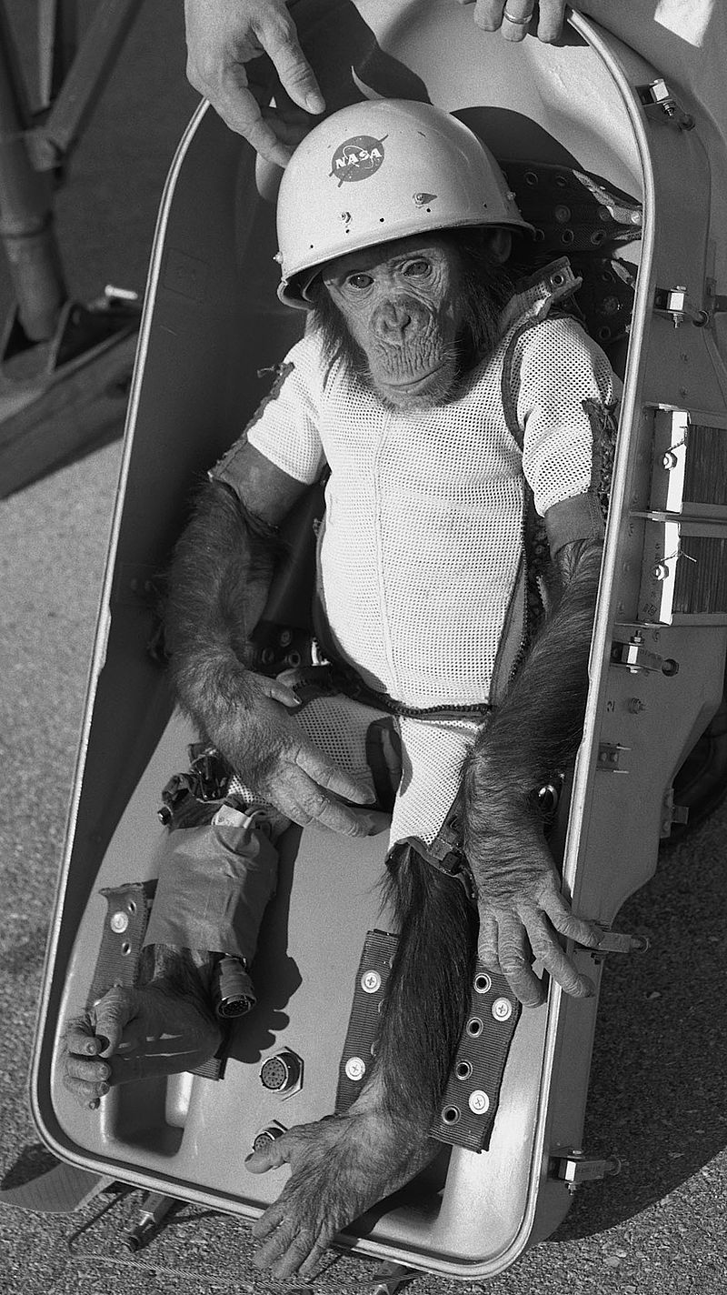 Mono Ham. Wikimedia Commons